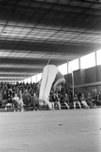 Vierlandenturnwedstrijden in de RAI, nr. 24, 25, 26, 27 Cerar Miroslav, Bestanddeelnr 914-8639