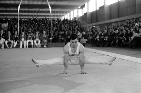Vierlandenturnwedstrijden in de RAI, de Europees kampioen Miroslav Cerar tijdens, Bestanddeelnr 914-8635