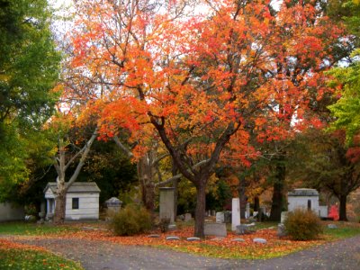 View, Homewood Cemetery, 2015-10-29, 01