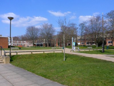 View across Campus of University of Sussex (April 2013)