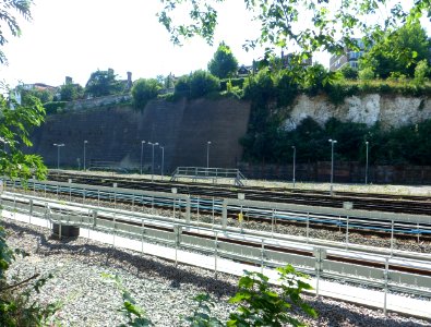 View across Brighton Main Line and Sidings from The Rockery, Preston Park, Brighton (August 2013) (3)