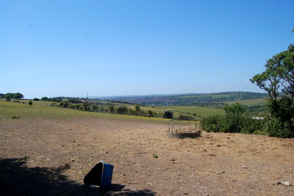 View across South Downs from Drove Road, Woodingdean (May 2020) (12)
