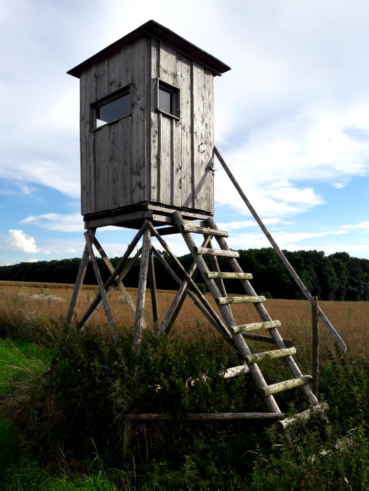 Vierzehnheiligen, Jena 08