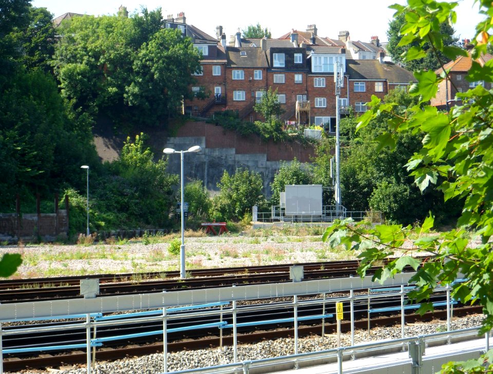 View across Brighton Main Line and Sidings from The Rockery, Preston Park, Brighton (August 2013) (4)