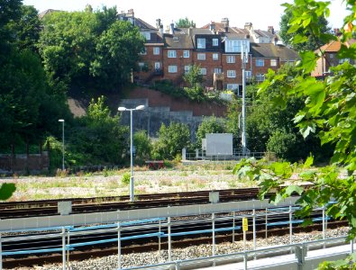 View across Brighton Main Line and Sidings from The Rockery, Preston Park, Brighton (August 2013) (4)