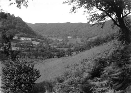 View (1294505)