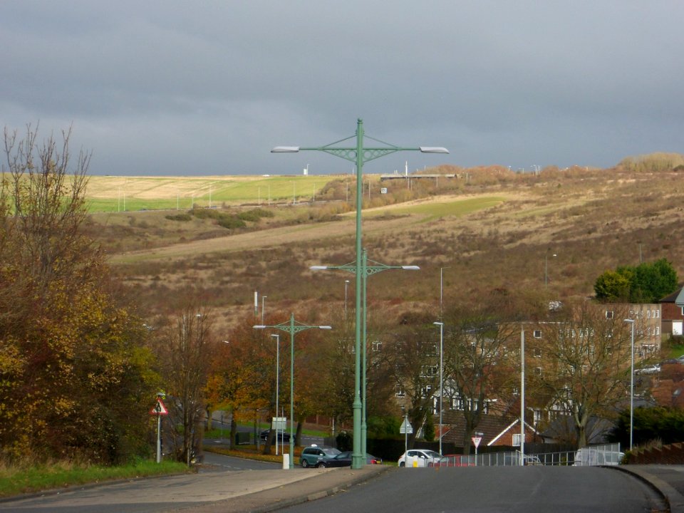 View along King George VI Avenue towards Toads Hole Valley, Hove (November 2013) (2)