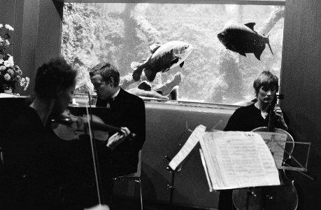 Viering met een salonorkestje voor een van de aquaria, Bestanddeelnr 932-4261