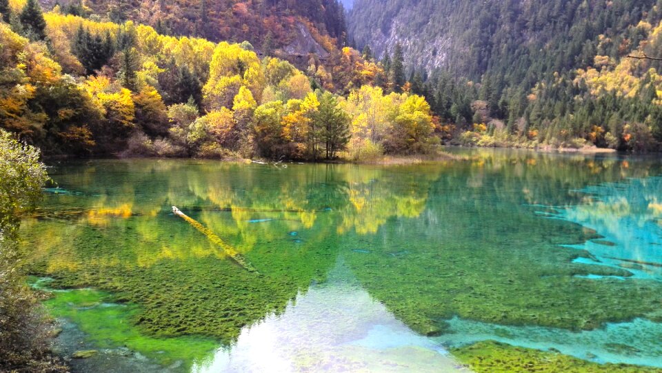 Autumn forest lake