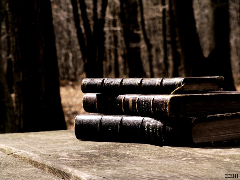 Vieux Livres En Forêt (64805799)