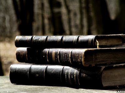 Vieux Livres Sur Un Banc De Forêt (64796315)