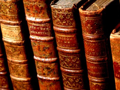 Vieux Livres (66117447)