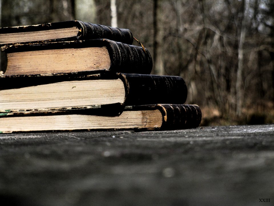 Vieux Livres Sur Un Banc En Bois En Forêt (64896225)