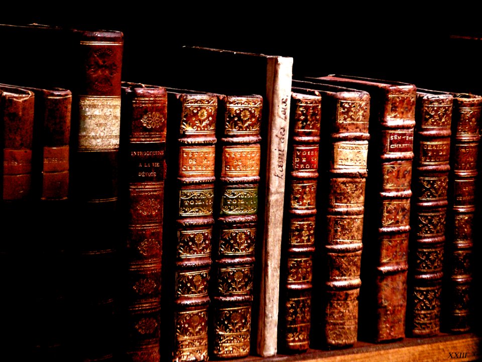 Vieux Livres (64744933)