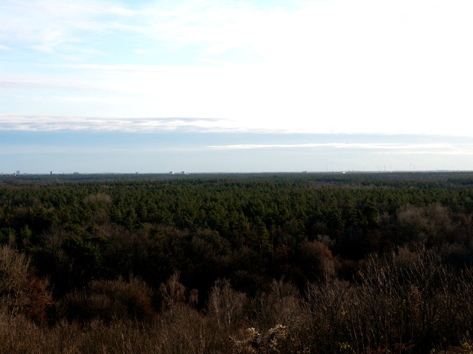 View from Drachenberg on 2019-12-18 16