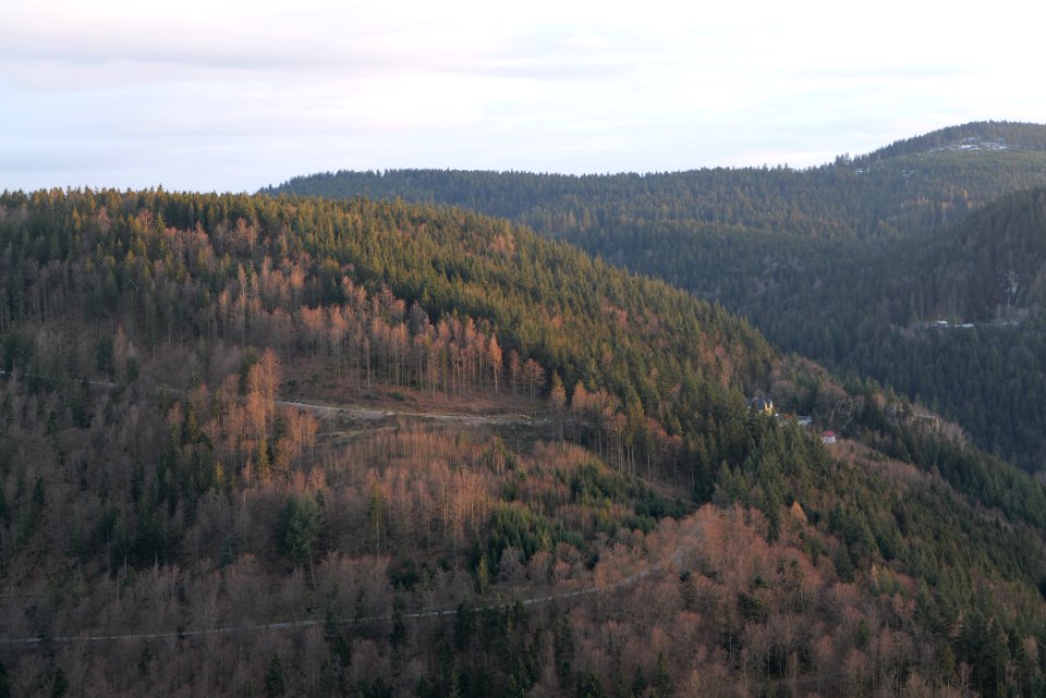 View from Falkenfelsen Hertahütte 2020-03-14 04