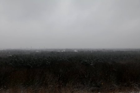 View from Drachenberg Berlin with snow 2021-01-03 22