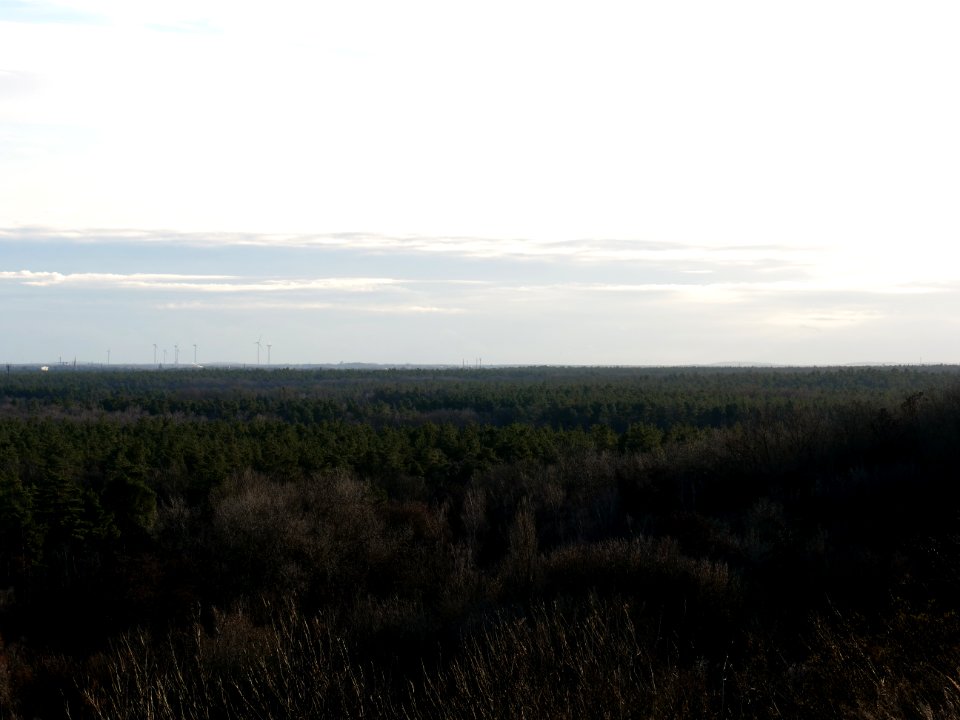 View from Drachenberg on 2019-12-18 11