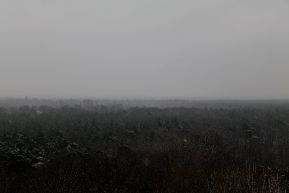 View from Drachenberg Berlin with snow 2021-01-03 24