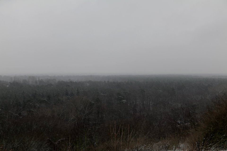 View from Drachenberg Berlin with snow 2021-01-03 21