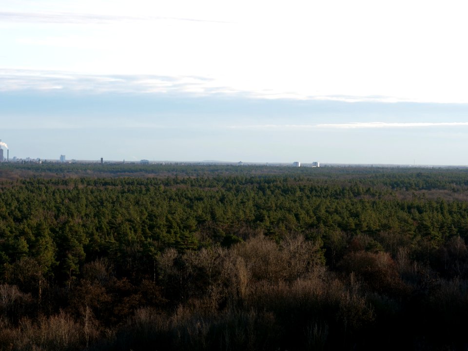 View from Drachenberg on 2019-12-18 27