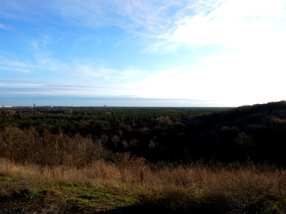 View from Drachenberg on 2019-12-18 24