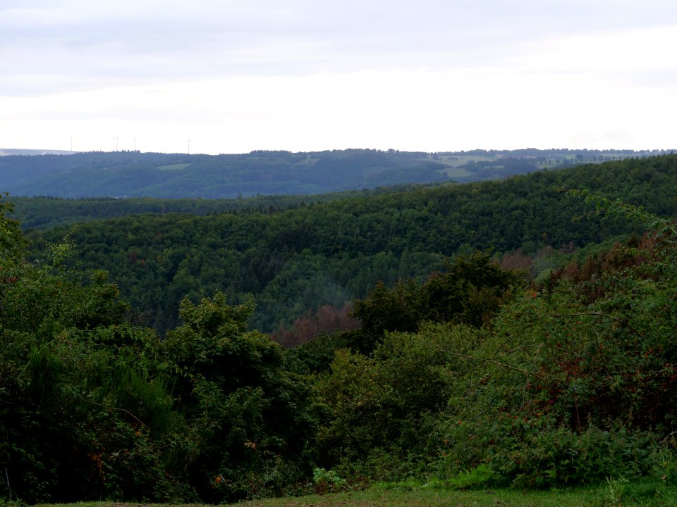 View from Eschaueler Weg 11
