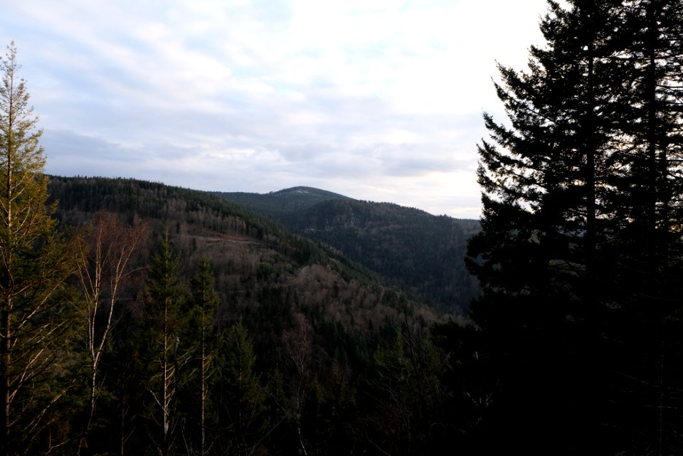 View from Falkenfelsen 2020-03-14 01