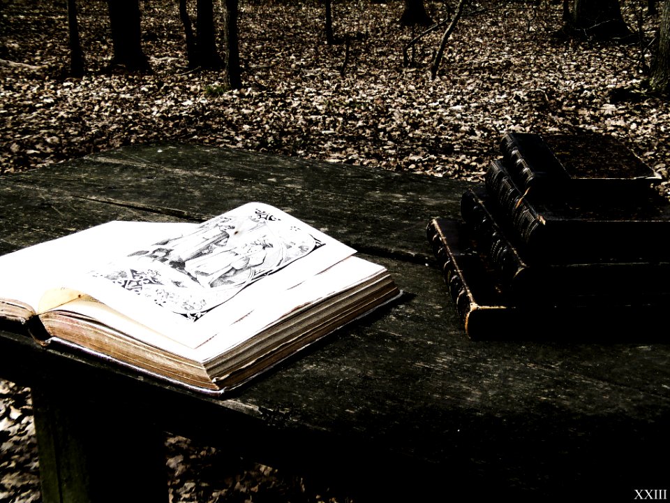 Vieux Livres Sur Un Banc En Bois (64914223)
