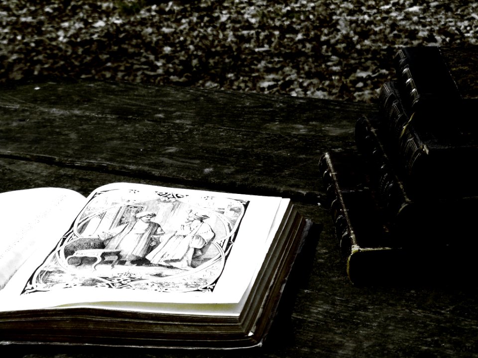 Vieux Livres En Forêt Et Livre Ouvert (64800227)