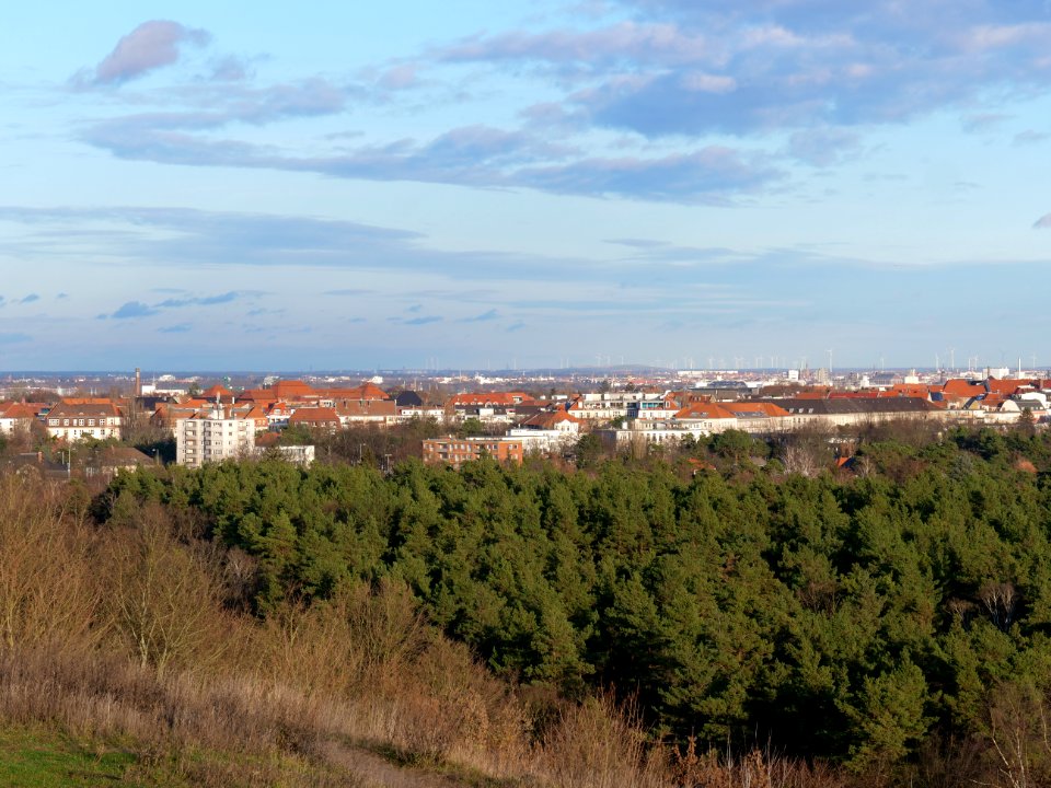 View from Drachenberg on 2019-12-18 17