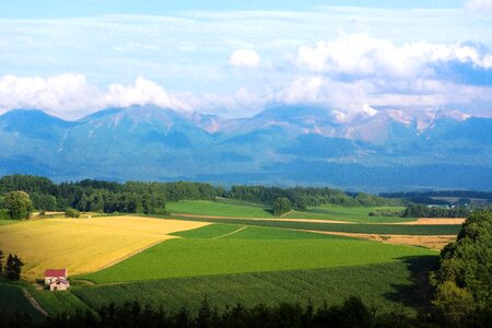 Hokkaido biei country photo