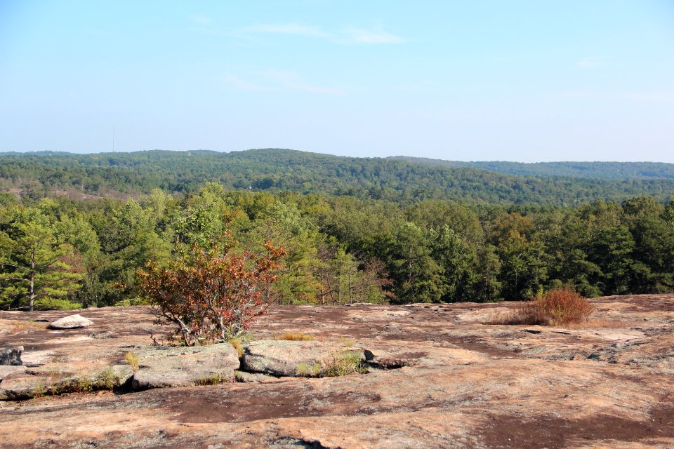 View from Arabia Mountain, Sept 2017