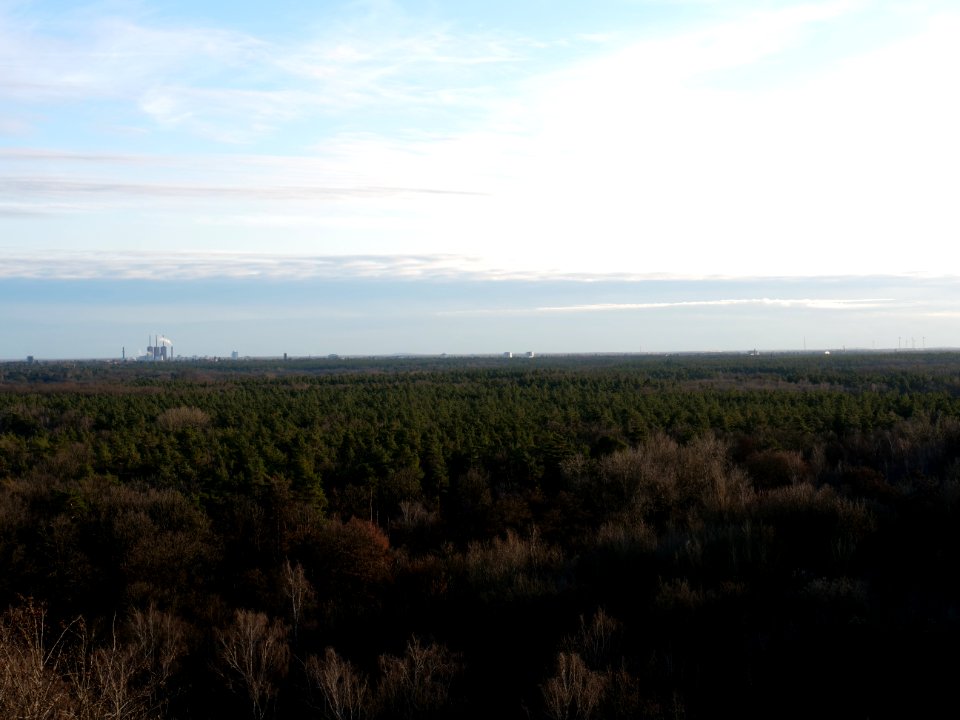View from Drachenberg on 2019-12-18 25