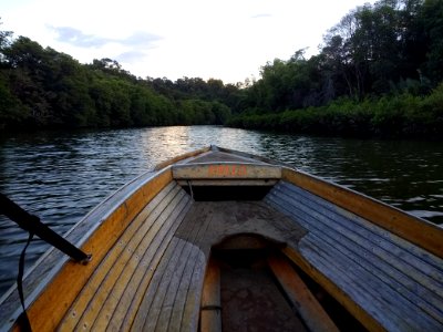 View from a water taxi in Brunei