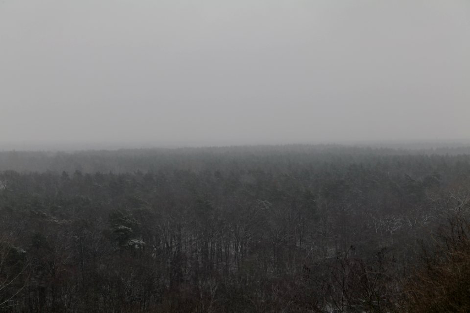 View from Drachenberg Berlin with snow 2021-01-03 20