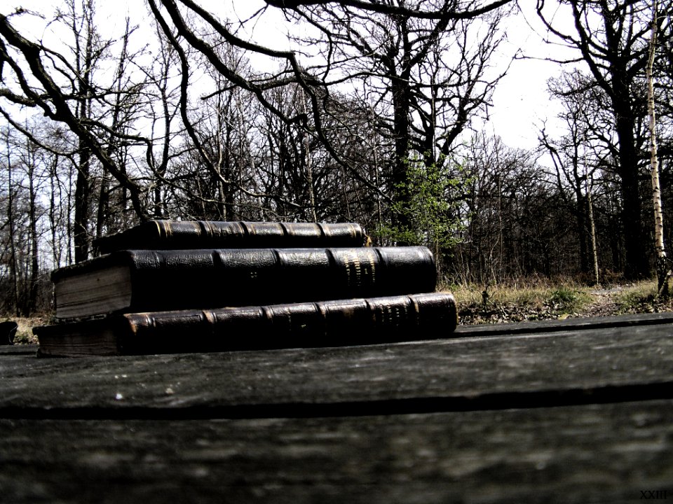 Vieux Livres Dans La Nature (64806471)
