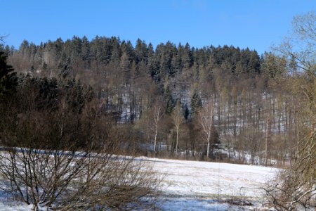 View from Alter Königsteiner Weg Schmitten with snow 2021-04-06 04
