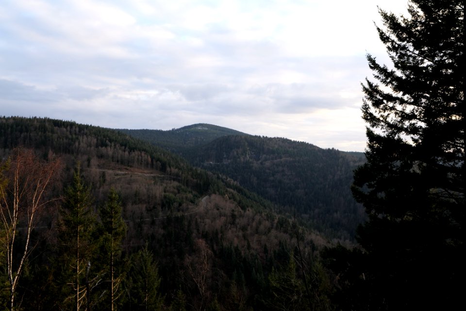 View from Falkenfelsen 2020-03-14 02