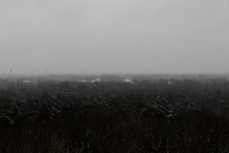 View from Drachenberg Berlin with snow 2021-01-03 23