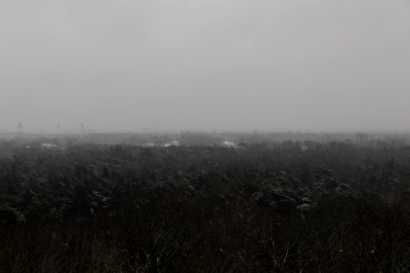 View from Drachenberg Berlin with snow 2021-01-03 23