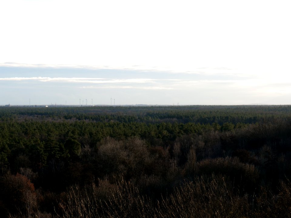 View from Drachenberg on 2019-12-18 13