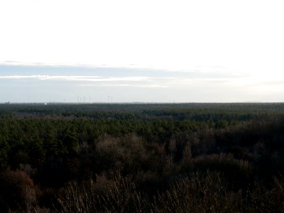 View from Drachenberg on 2019-12-18 13