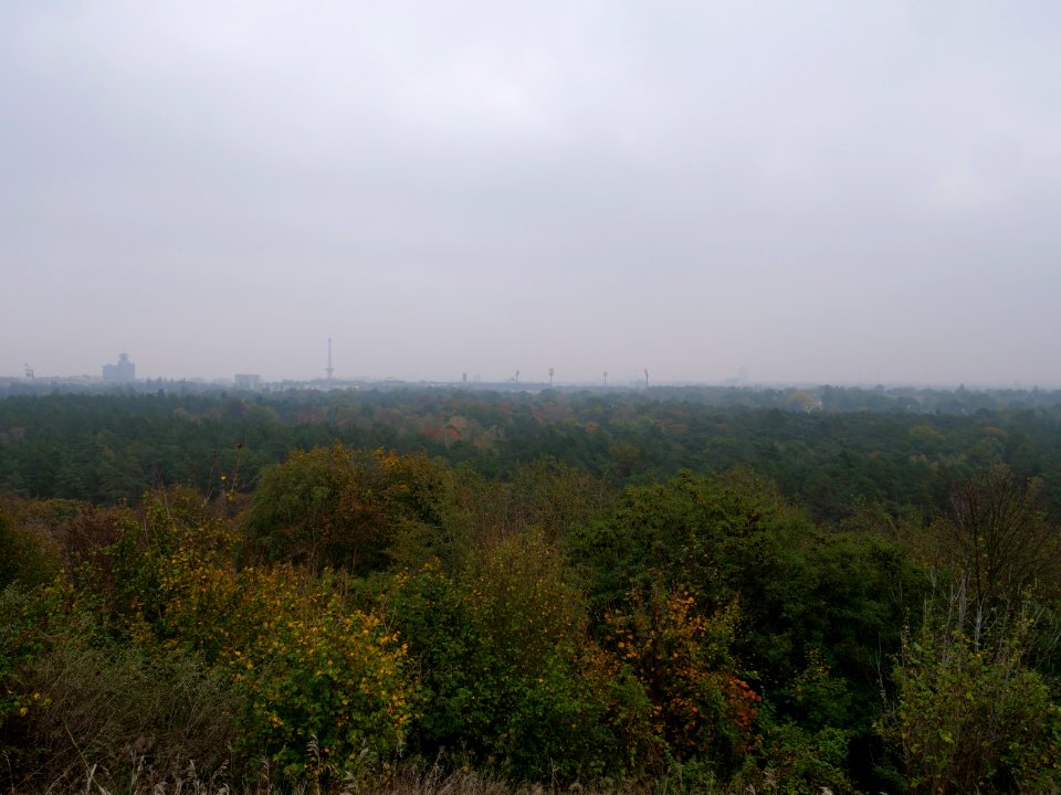 View from Drachenberg 2019-10-24 04
