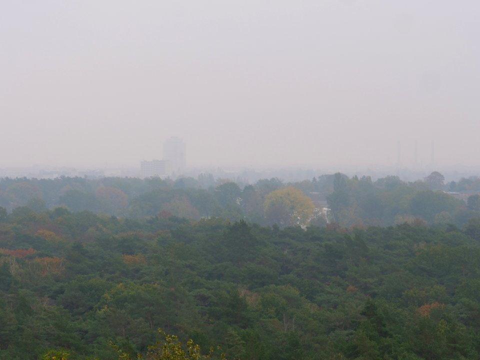 View from Drachenberg 2019-10-24 08