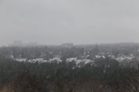 View from Drachenberg Berlin with snow 2021-01-03 03