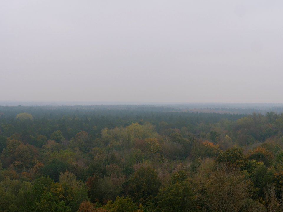 View from Drachenberg 2019-10-24 27