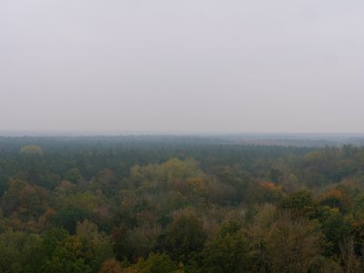 View from Drachenberg 2019-10-24 27