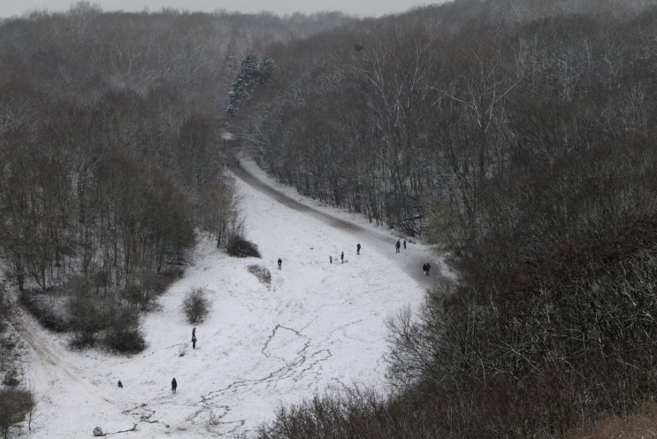 View from Drachenberg Berlin with snow 2021-01-03 11