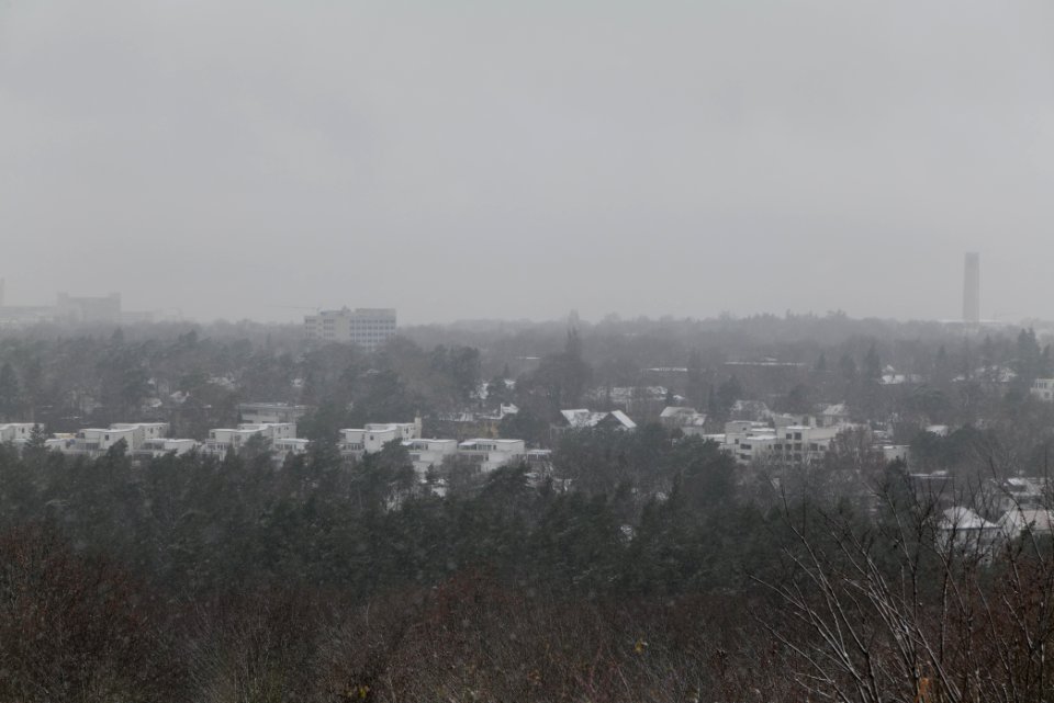 View from Drachenberg Berlin with snow 2021-01-03 04